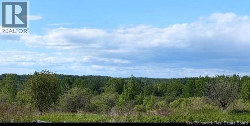 95.4 Acres Route 340, Canobie, New Brunswick E2A 5G7 - Photo 2 - NB131483