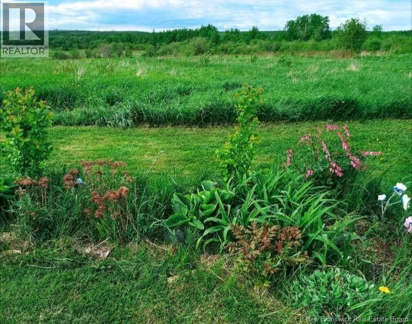 95.4 Acres Route 340, Canobie, New Brunswick E2A 5G7 - Photo 3 - NB131483