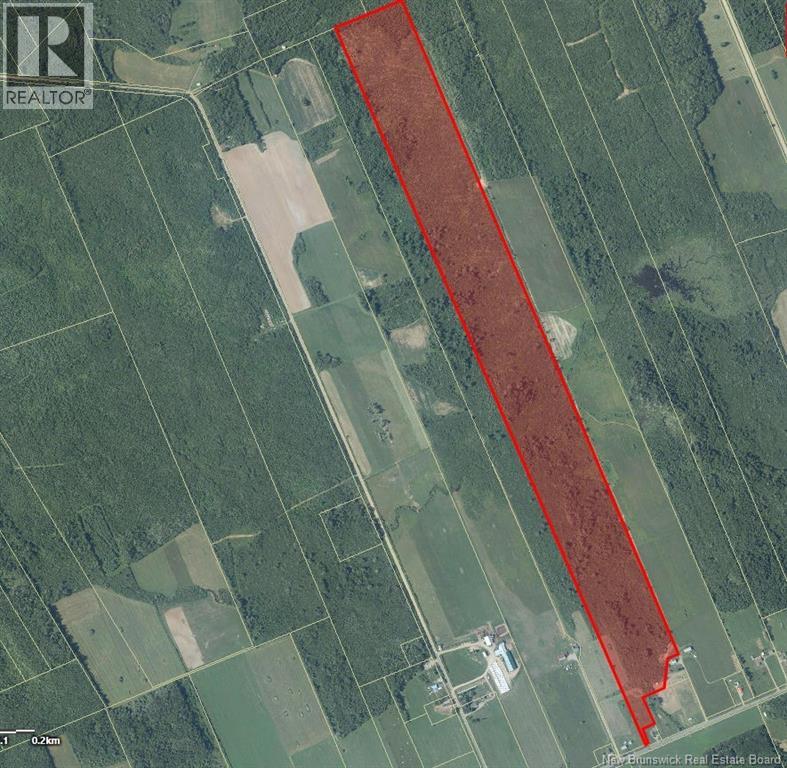 95.4 Acres Route 340, Canobie, New Brunswick E2A 5G7 - Photo 5 - NB131483