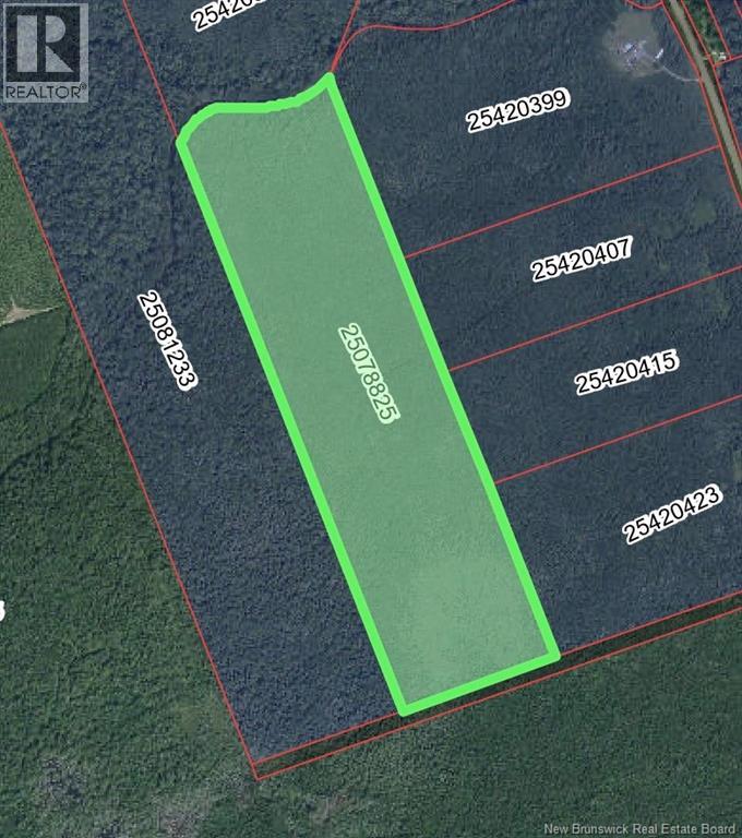 Lot Emerson (Back) Road, Beersville, New Brunswick E4T 2M5 - Photo 2 - NB131525