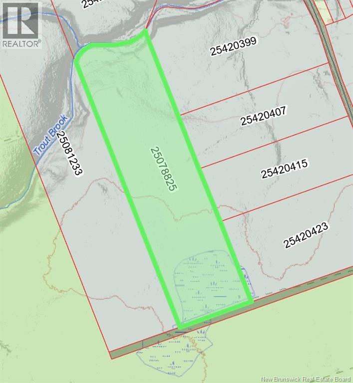 Lot Emerson (Back) Road, Beersville, New Brunswick E4T 2M5 - Photo 3 - NB131525