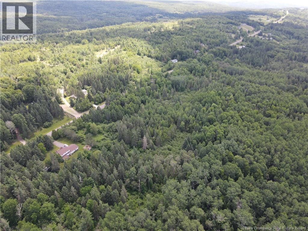 Lot Drurys Cove Road, Ratter Corner, New Brunswick E4E 3L2 - Photo 2 - NB131467