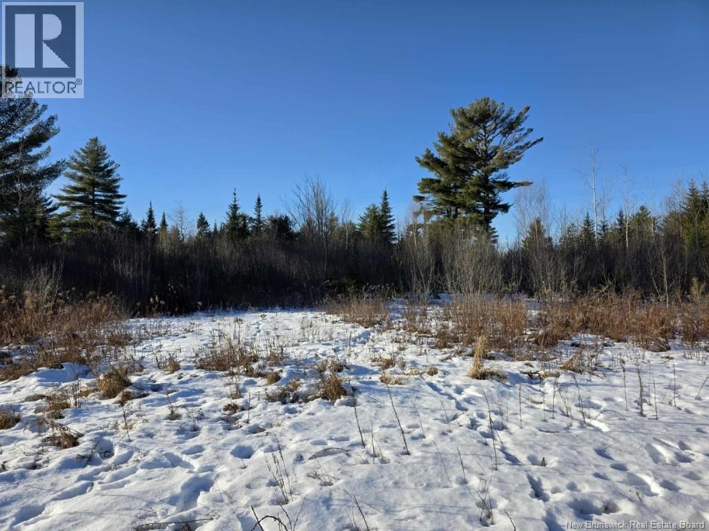 0 Crest Avenue, Heathland, New Brunswick E3L 5C1 - Photo 12 - NB131431