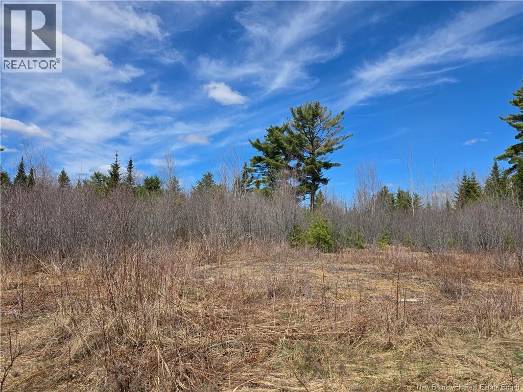 0 Crest Avenue, Heathland, New Brunswick E3L 5C1 - Photo 7 - NB131431