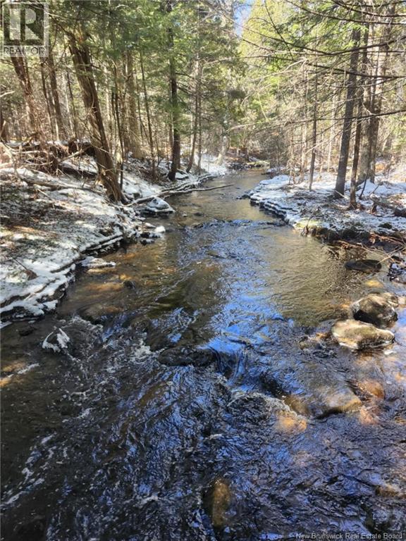 00 Crest Avenue, Heathland, New Brunswick  E3L 5C1 - Photo 1 - NB131432