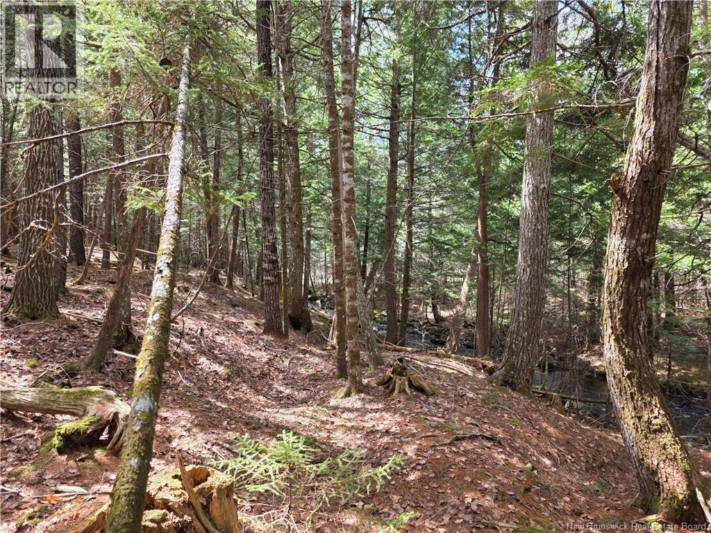00 Crest Avenue, Heathland, New Brunswick E3L 5C1 - Photo 14 - NB131432
