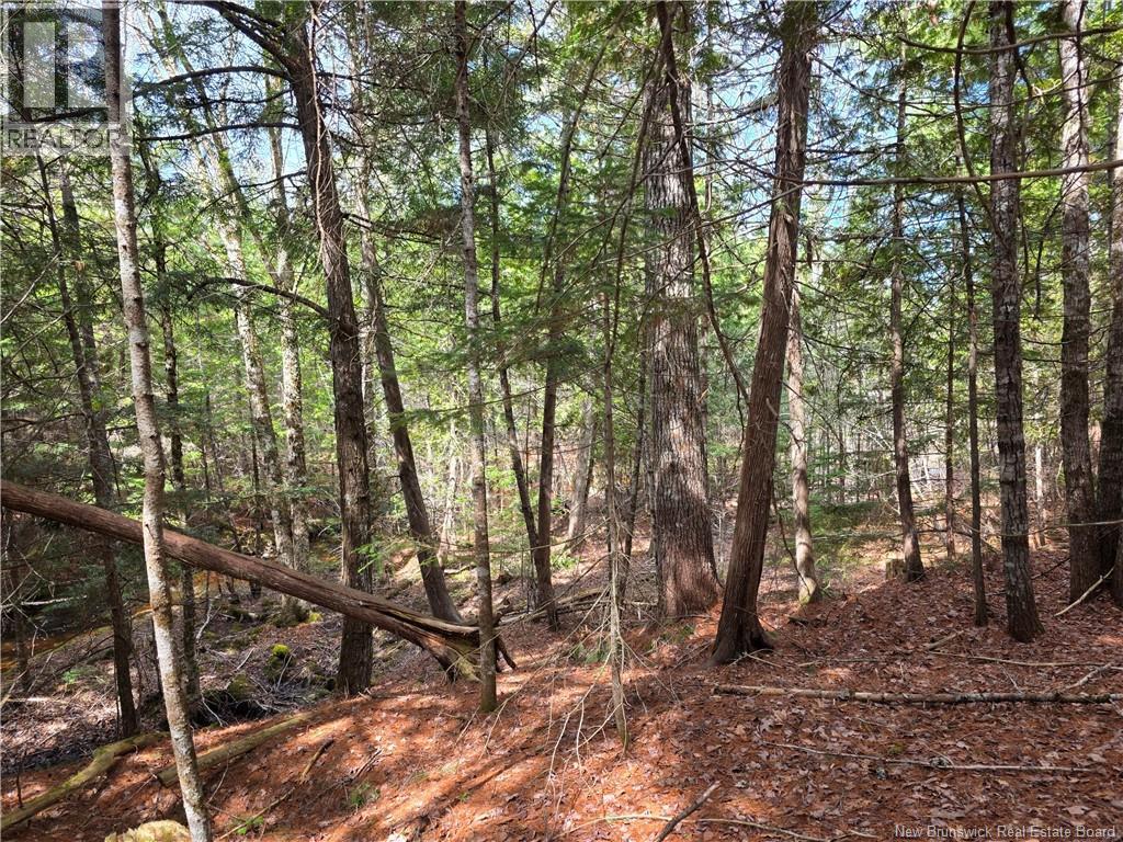 00 Crest Avenue, Heathland, New Brunswick E3L 5C1 - Photo 17 - NB131432