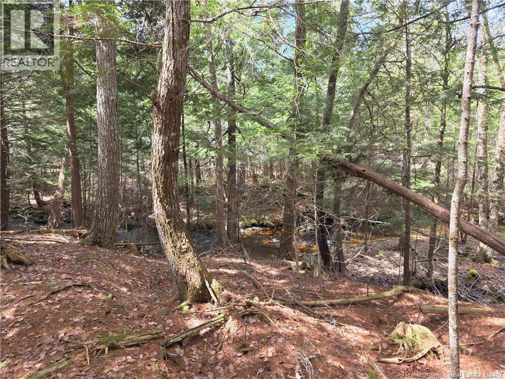 00 Crest Avenue, Heathland, New Brunswick E3L 5C1 - Photo 19 - NB131432