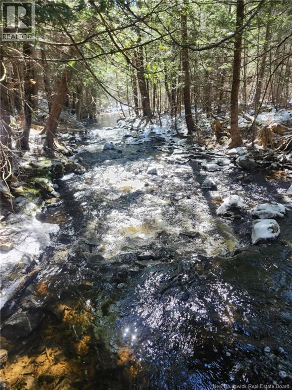 00 Crest Avenue, Heathland, New Brunswick  E3L 5C1 - Photo 2 - NB131432