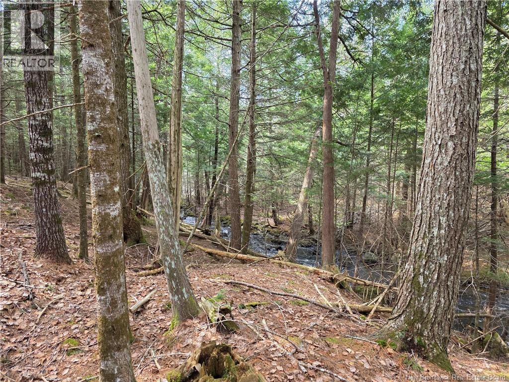 00 Crest Avenue, Heathland, New Brunswick E3L 5C1 - Photo 21 - NB131432