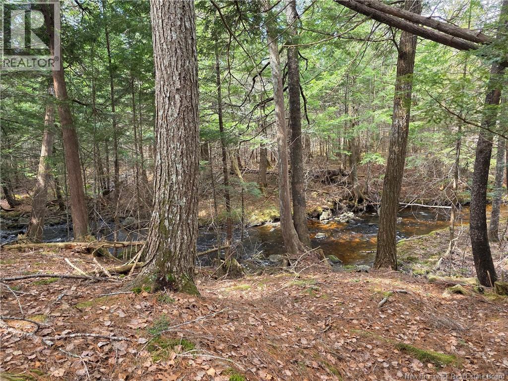 00 Crest Avenue, Heathland, New Brunswick E3L 5C1 - Photo 22 - NB131432
