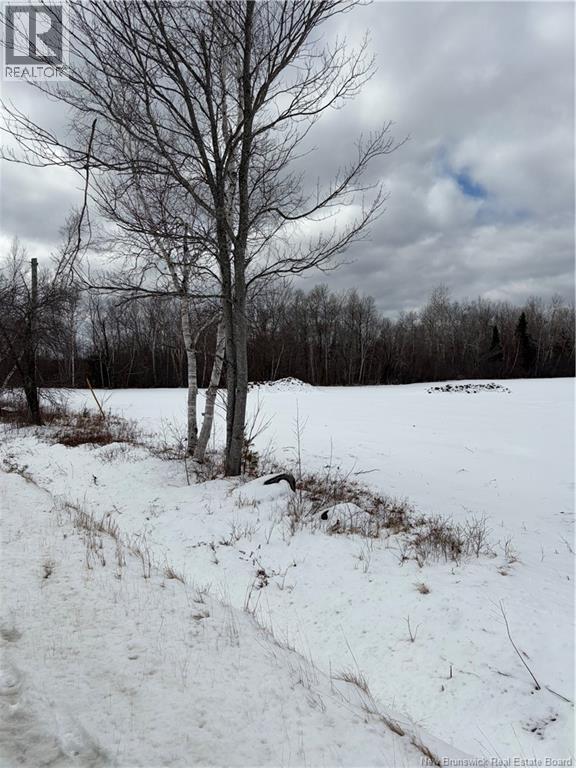 18.28 Hec Route 108, Bryenton, New Brunswick E1V 5C6 - Photo 3 - NB131496