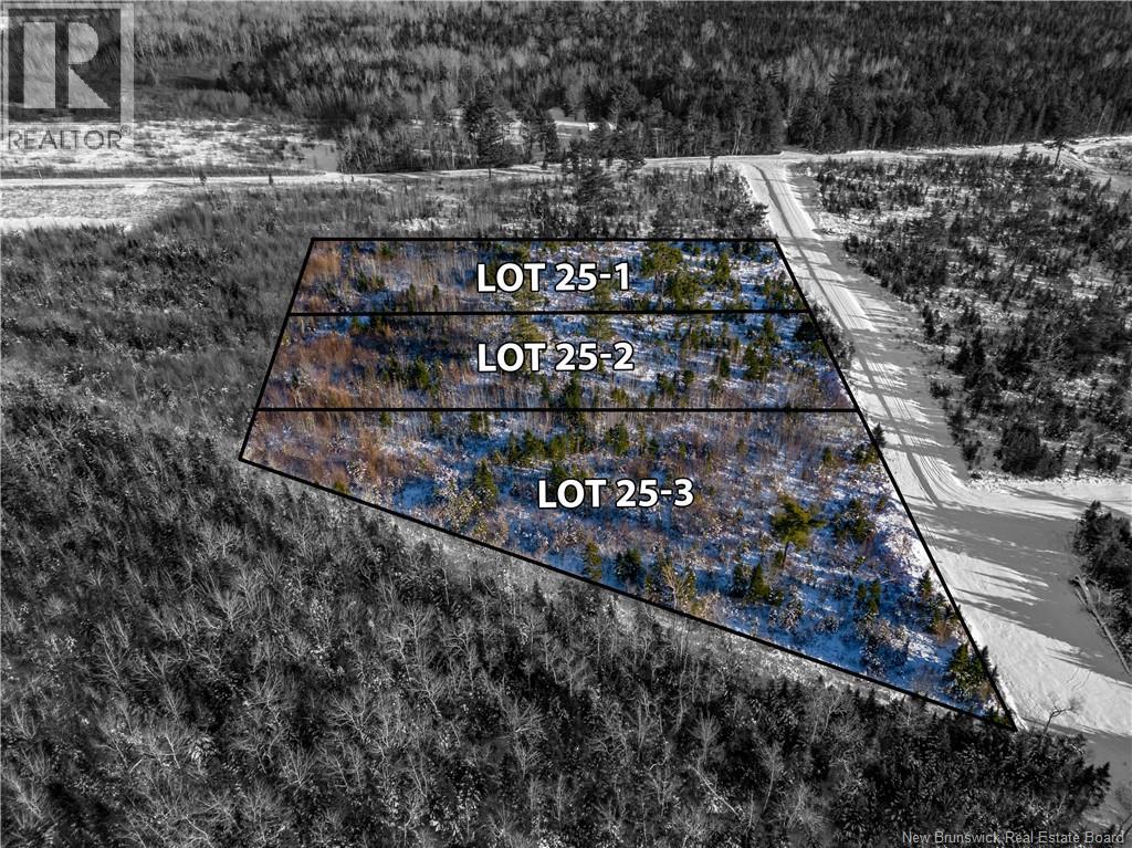Lot 25-2 Hannay, Galloway, New Brunswick  E4W 2M4 - Photo 3 - NB131690