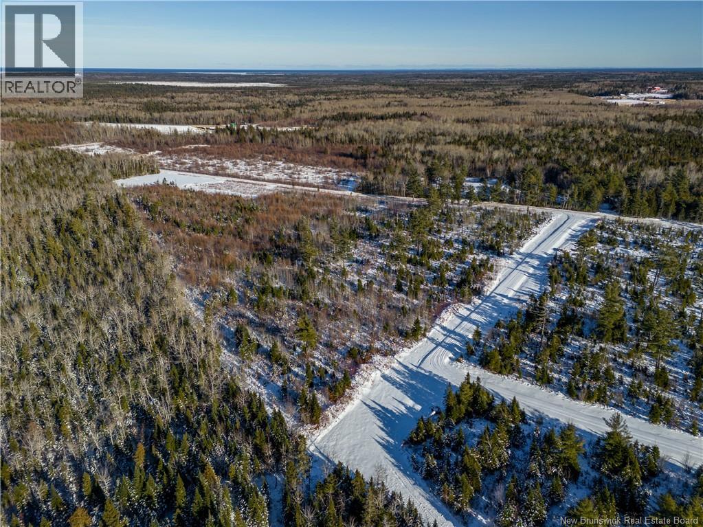 Lot 25-1 Hannay Road, Galloway, New Brunswick  E4W 2M4 - Photo 9 - NB131680