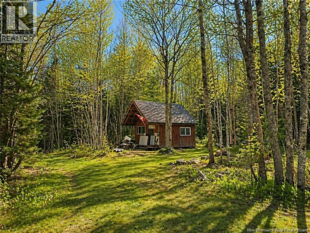 Lot 2 And Camp Old Portage Road, Anagance, New Brunswick  E4Z 1H5 - Photo 12 - NB131707