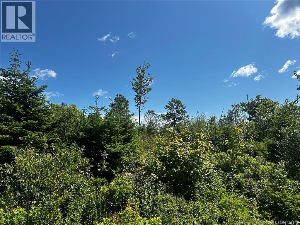 Old Gardner Creek Road, Rowley, New Brunswick  E2S 0E9 - Photo 2 - NB131735