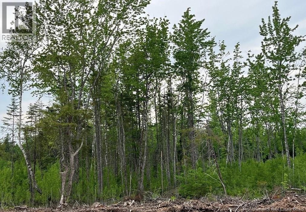 24-03 Chultun Court, Lower Coverdale, New Brunswick