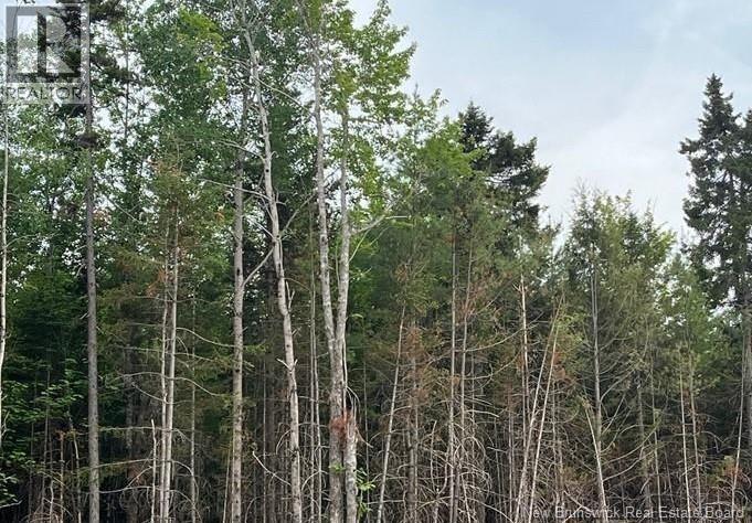 Lot 24-05 Chultun Court, Lower Coverdale, New Brunswick