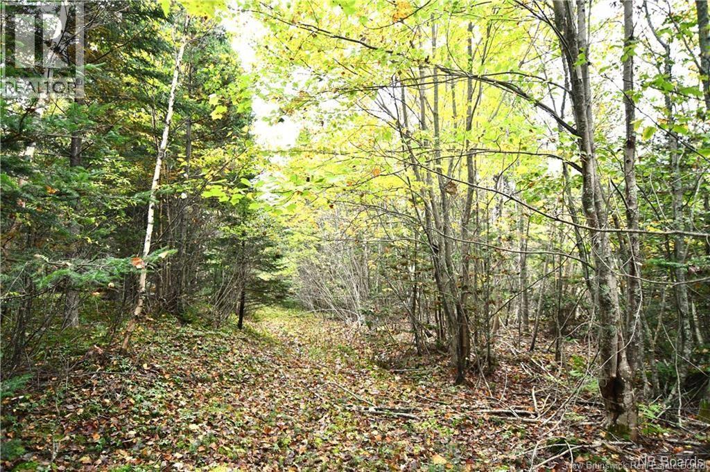 155 Hutchins Heights Road, Welshpool, New Brunswick