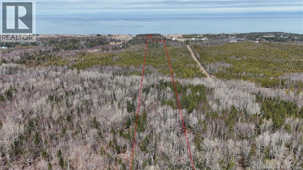 Lot 1 Route 11, Pokeshaw, New Brunswick