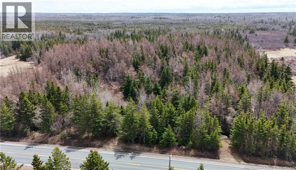 Lot 1 Route 11, Pokeshaw, New Brunswick  E2A 5R9 - Photo 2 - NB131749