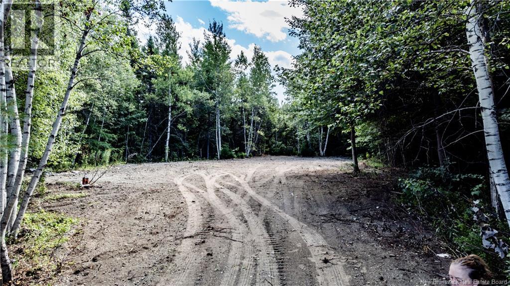 10200 Route 134, Saint-Louis-De-Kent, New Brunswick E4X 2K8 - Photo 2 - NB131596