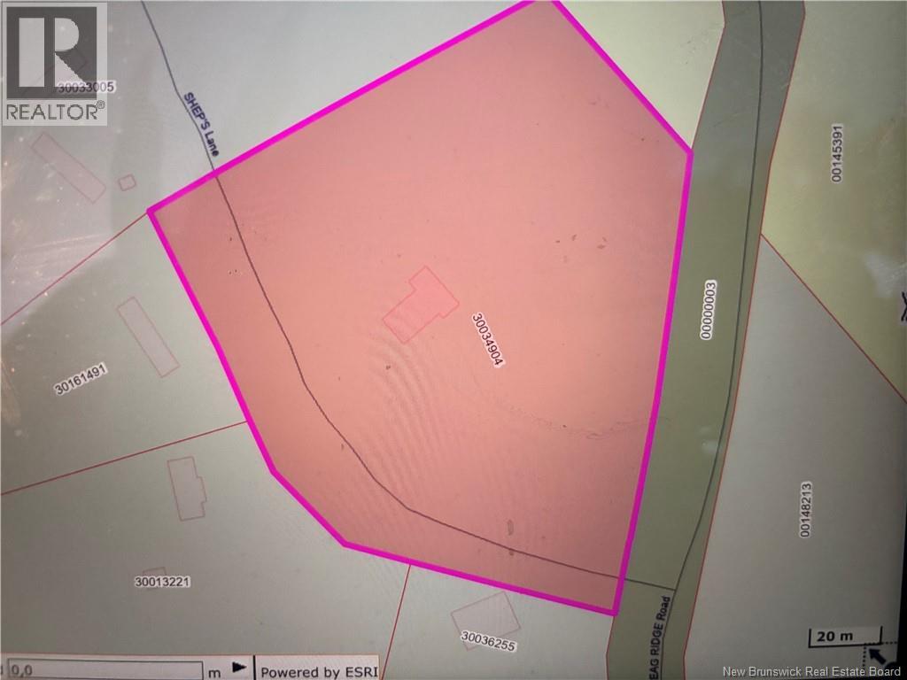 10 Sheps Lane, Salt Springs, New Brunswick  E5N 4K2 - Photo 4 - NB131585