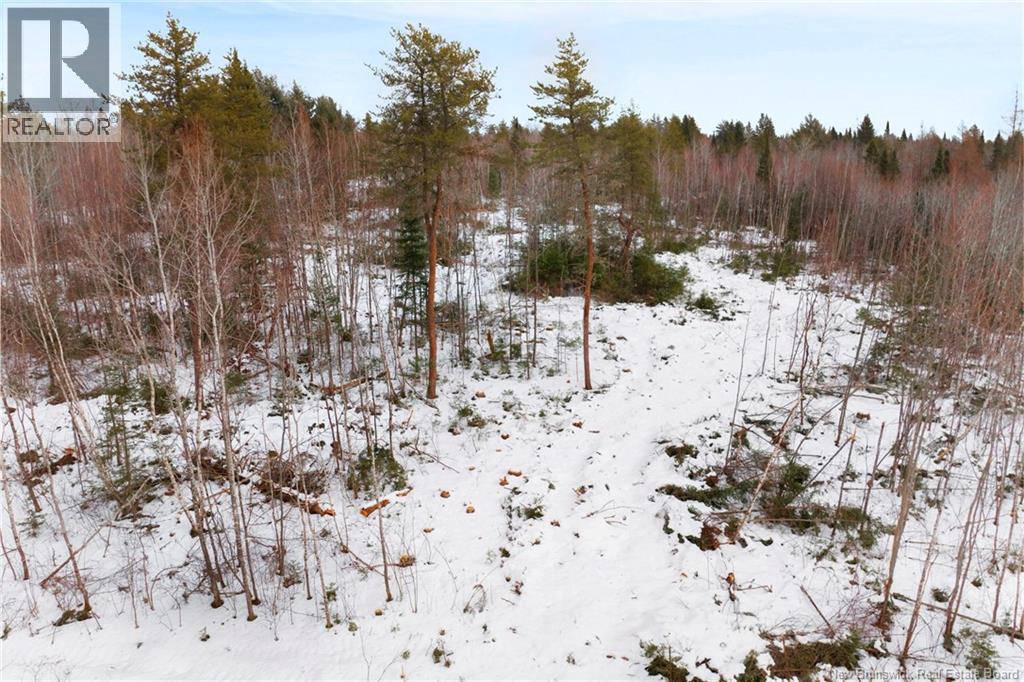 Lot 25-2 Cumberland Bay North Road, Cumberland Bay, New Brunswick  O0O 0O0 - Photo 11 - NB131881