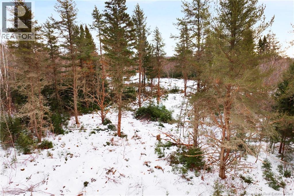 Lot 25-2 Cumberland Bay North Road, Cumberland Bay, New Brunswick  O0O 0O0 - Photo 13 - NB131881