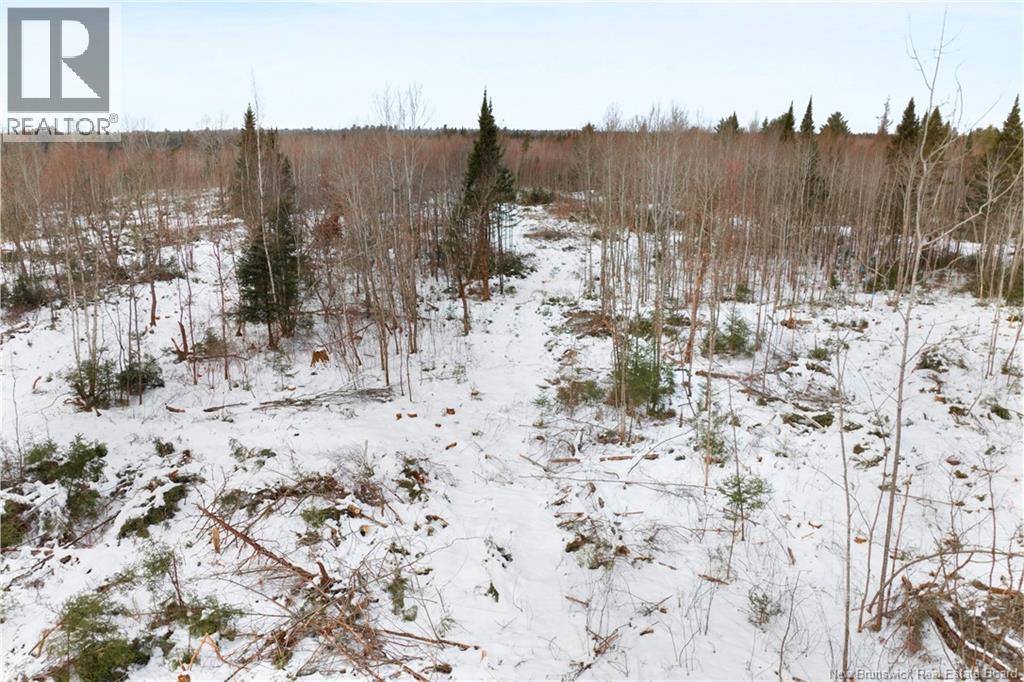 Lots 25-1 & 25-3 Cumberland Bay North Road, Cumberland Bay, New Brunswick  O0O 0O0 - Photo 14 - NB131878