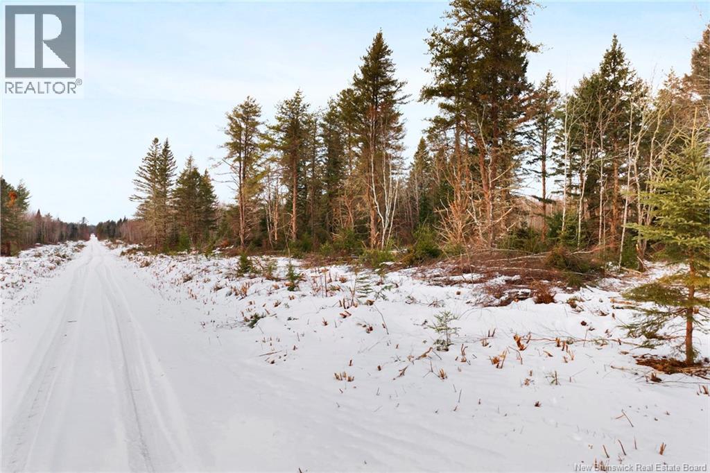 Lots 25-1 & 25-3 Cumberland Bay North Road, Cumberland Bay, New Brunswick  O0O 0O0 - Photo 21 - NB131878