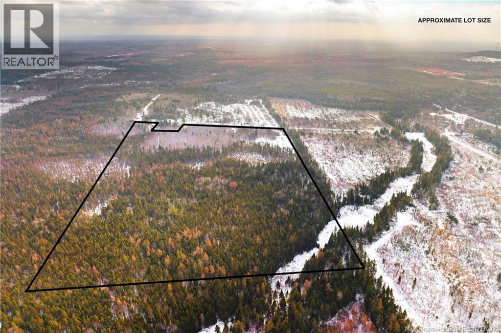 Lots 25-1 & 25-3 Cumberland Bay North Road, Cumberland Bay, New Brunswick  O0O 0O0 - Photo 5 - NB131878