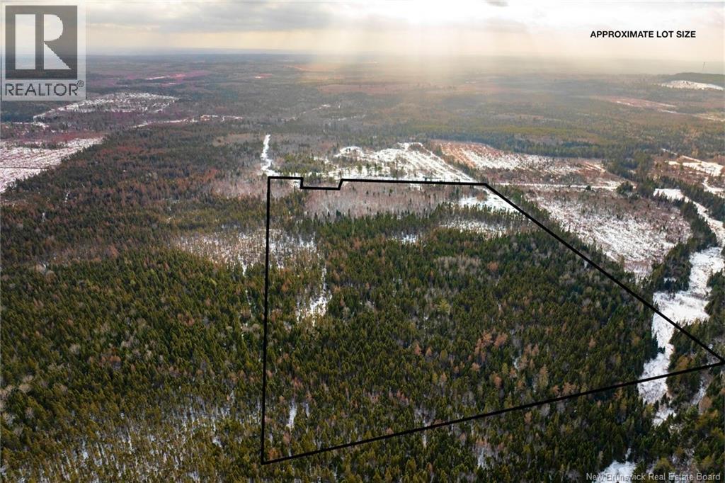 Lots 25-1 & 25-3 Cumberland Bay North Road, Cumberland Bay, New Brunswick  O0O 0O0 - Photo 6 - NB131878