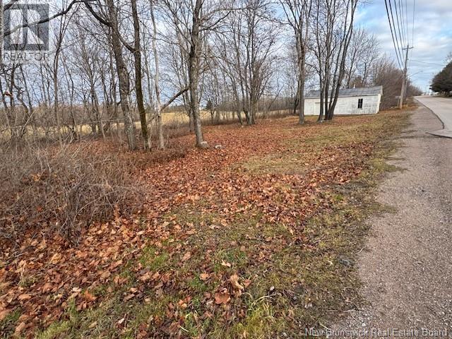 4589 Route 880, Havelock, New Brunswick  E4Z 5K8 - Photo 4 - NB131724