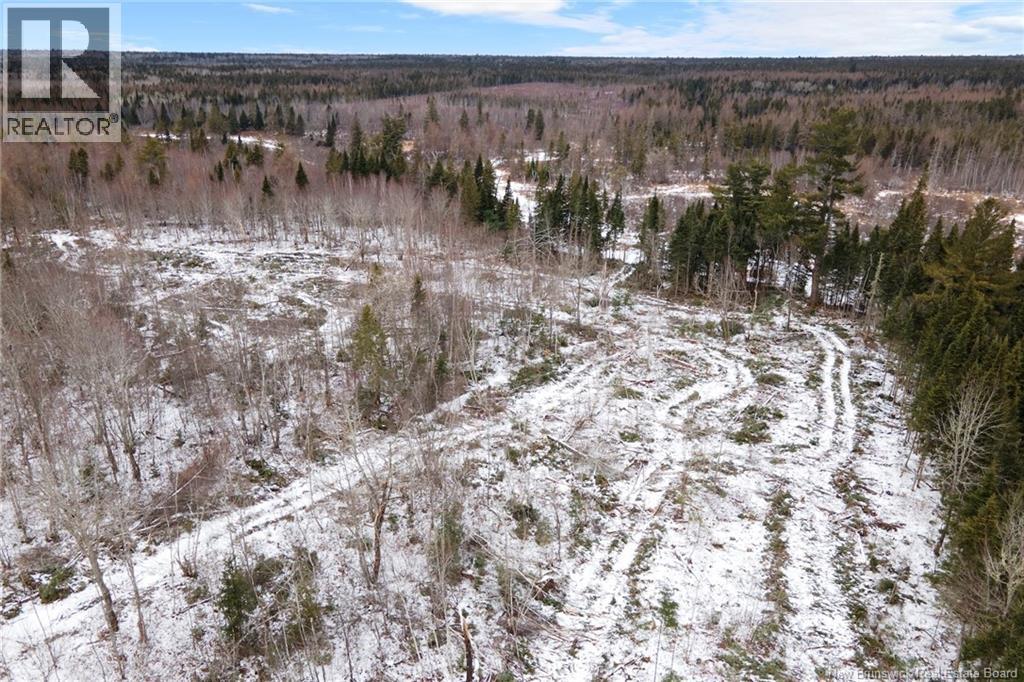 Lots 24-4 & 24-5 Cumberland Bay South Road, Cumberland Bay, New Brunswick O0O 0O0 - Photo 9 - NB131894