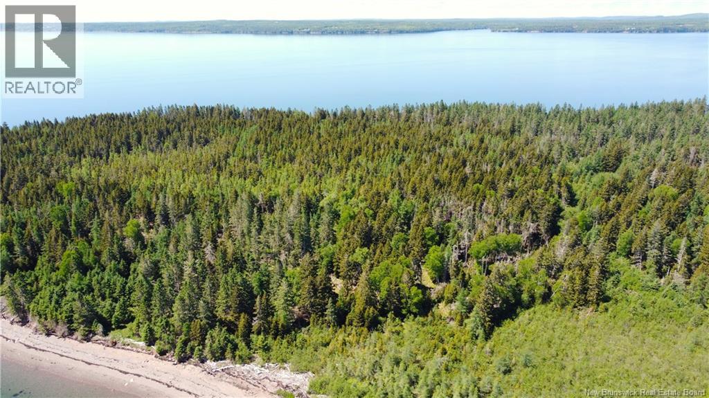 Lot 2 Navy Island, Saint Andrews, New Brunswick  E5B 2H1 - Photo 9 - NB131744
