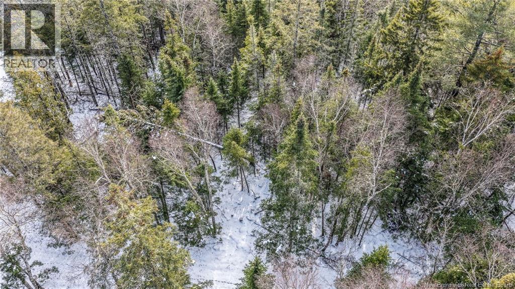 Lot Todds Point Road, Dufferin, New Brunswick  E3L 3R5 - Photo 23 - NB131960