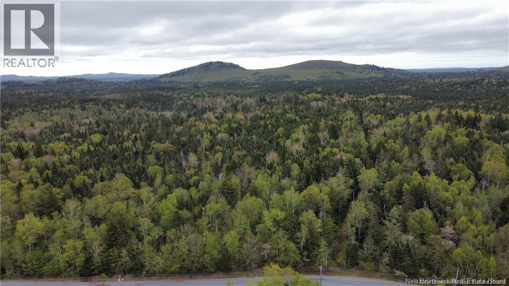 3119 Golden Grove Road, Saint John, New Brunswick E2S 2T6 - Photo 11 - NB132020