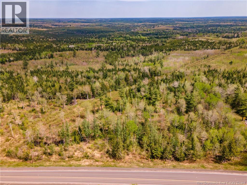 Lot Route 10, Coles Island, New Brunswick E4C 2P4 - Photo 6 - NB131956