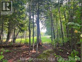 1880-1890 Gowan Brae Drive, Bathurst, New Brunswick  E2A 4X5 - Photo 4 - NB131941