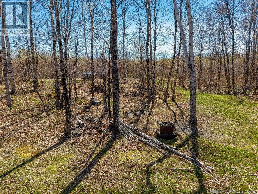 2016-2 Tay River, Tay Valley, New Brunswick  E6B 1P6 - Photo 6 - NB132019