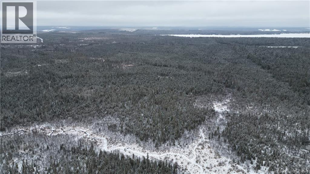 Vacant Lot Timberland, Dumfries, New Brunswick E6G 2P9 - Photo 10 - NB132012