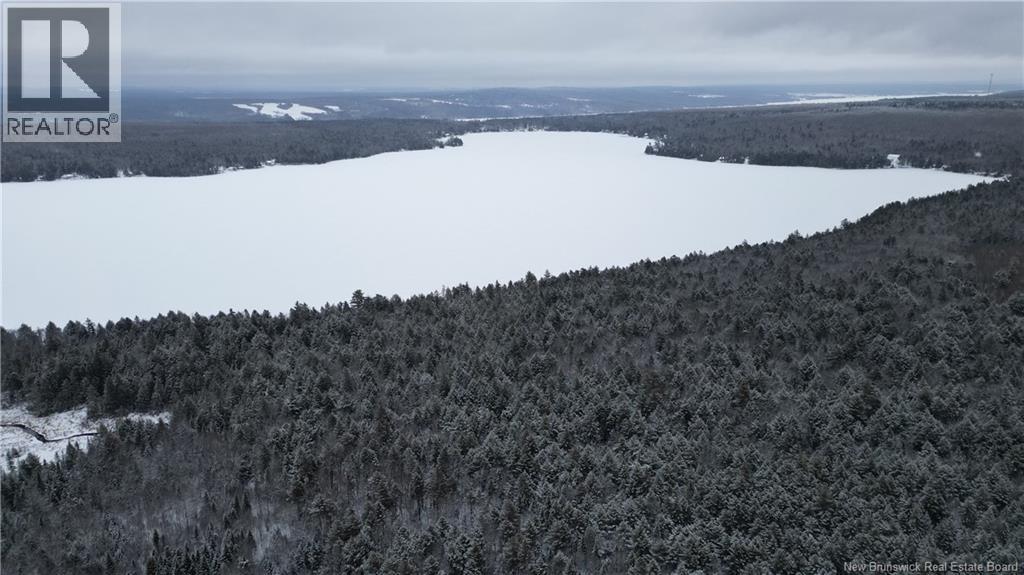Vacant Lot Timberland, Dumfries, New Brunswick E6G 2P9 - Photo 11 - NB132012