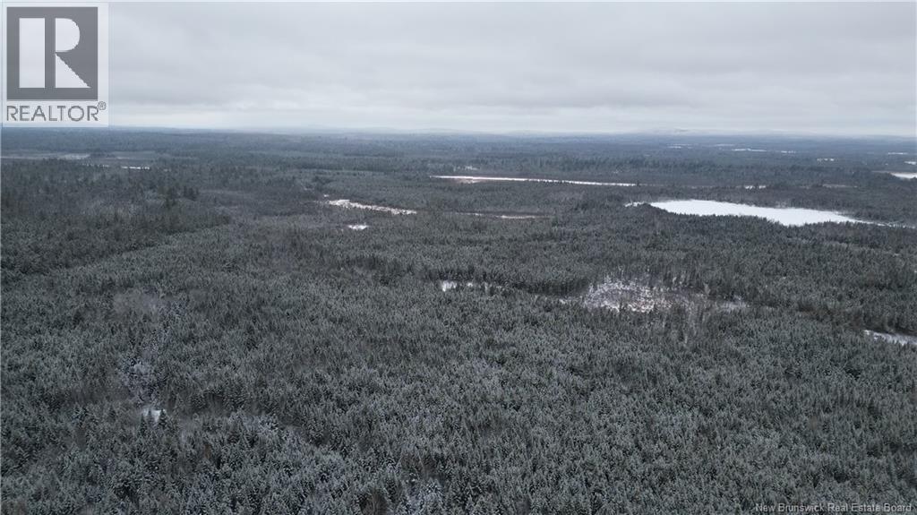 Vacant Lot Timberland, Dumfries, New Brunswick E6G 2P9 - Photo 12 - NB132012