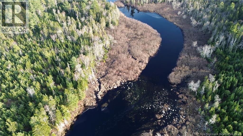 Vacant Lot Timberland, Dumfries, New Brunswick E6G 2P9 - Photo 14 - NB132012