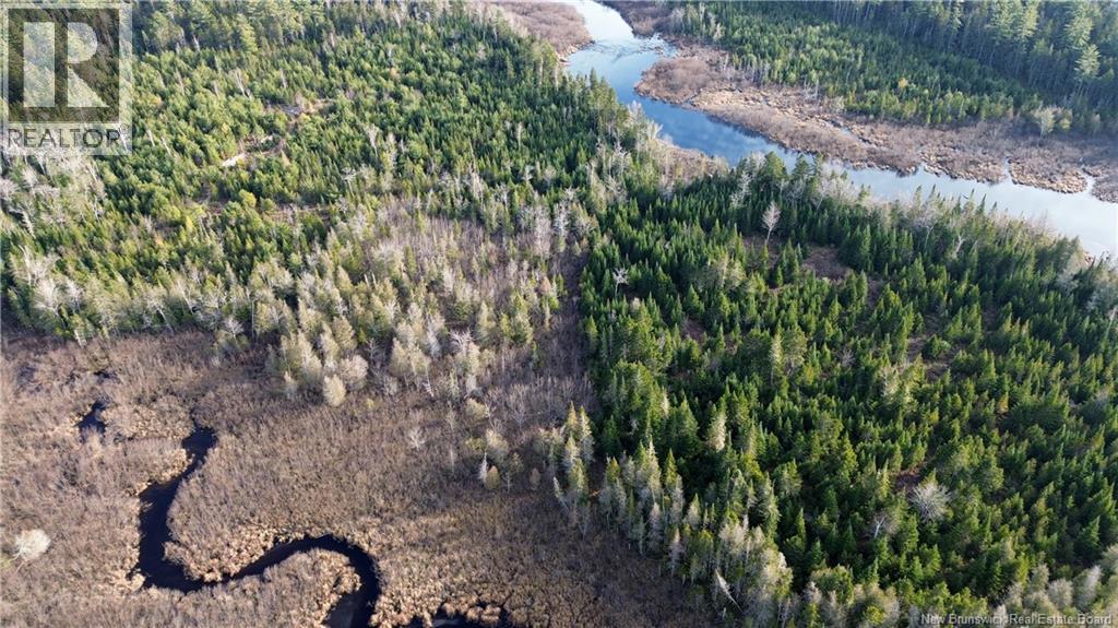 Vacant Lot Timberland, Dumfries, New Brunswick E6G 2P9 - Photo 15 - NB132012