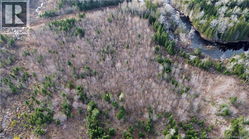 Vacant Lot Timberland, Dumfries, New Brunswick E6G 2P9 - Photo 16 - NB132012