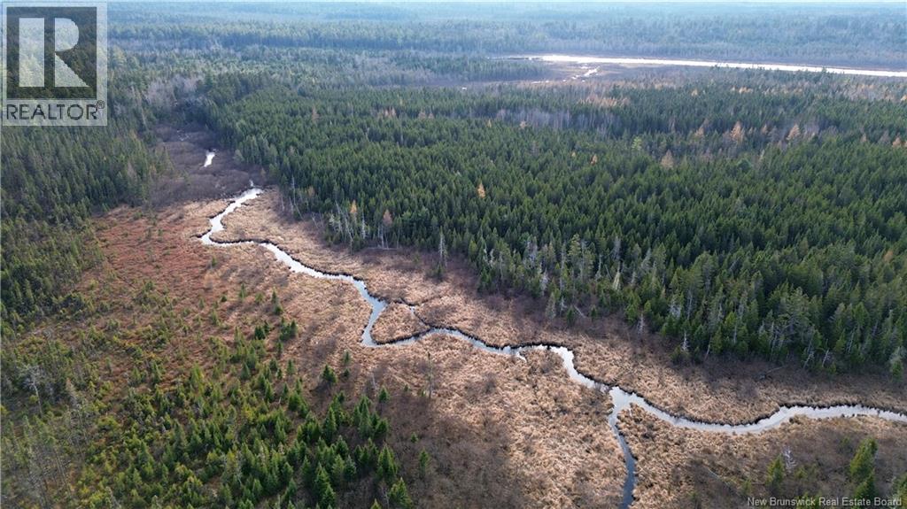 Vacant Lot Timberland, Dumfries, New Brunswick E6G 2P9 - Photo 22 - NB132012