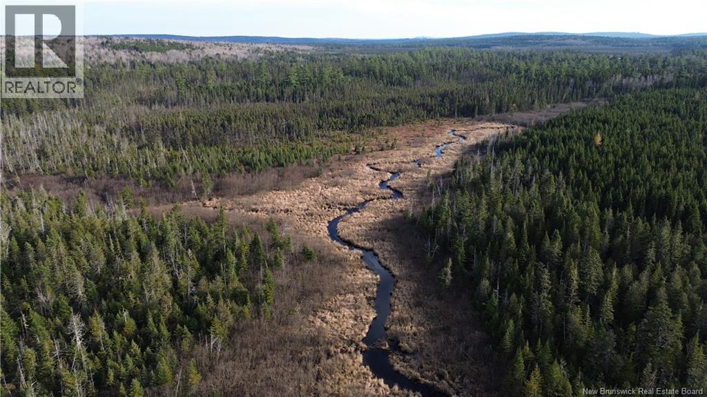 Vacant Lot Timberland, Dumfries, New Brunswick E6G 2P9 - Photo 24 - NB132012