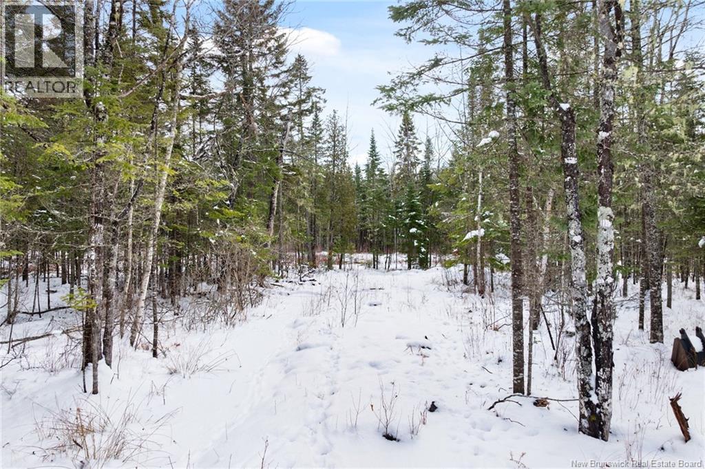 29 Gwens Lane, Mill Cove, New Brunswick  E4K 3N2 - Photo 11 - NB132099